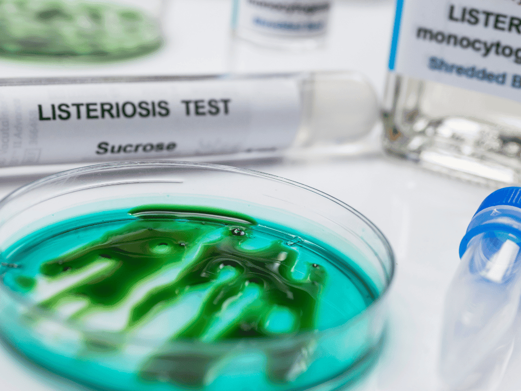 After USDA's Expanded Listeria Rule, Is Your Shoe Hygiene Protocol Still a Weak Link?